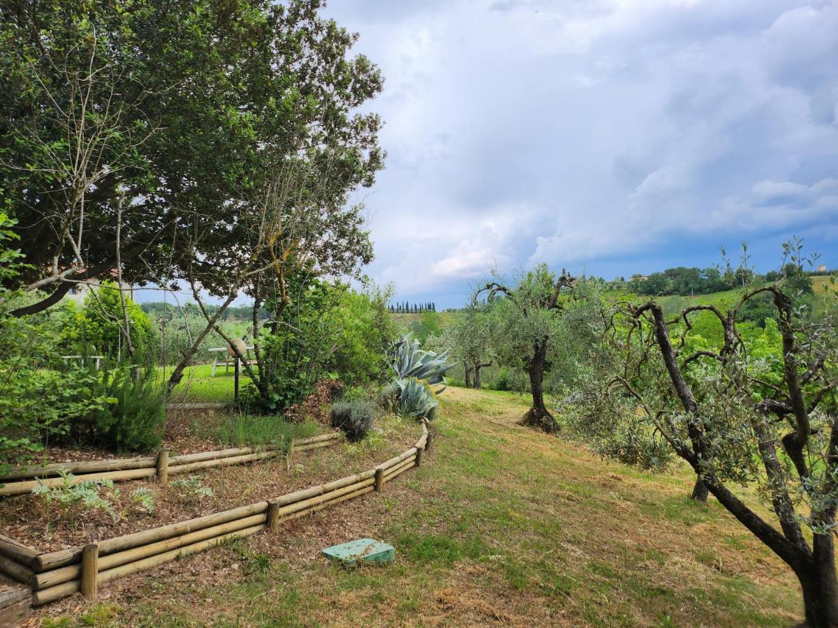 Il Giuggiolo - La Collina Della Quiete Bed & Breakfast Certaldo Luaran gambar