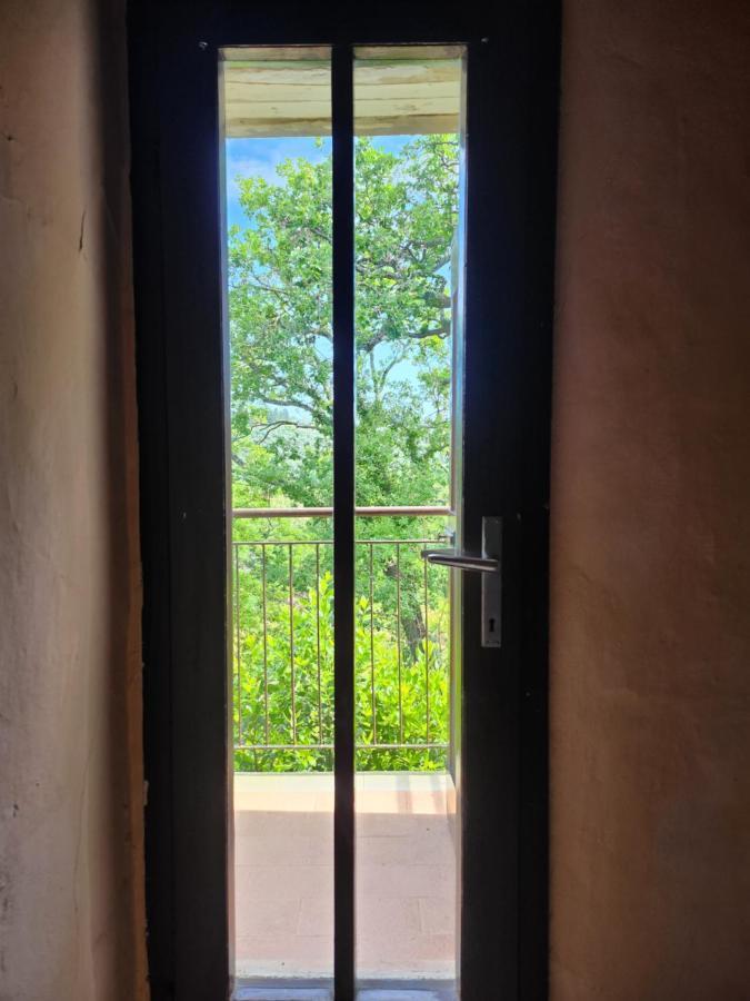 Il Giuggiolo - La Collina Della Quiete Bed & Breakfast Certaldo Luaran gambar