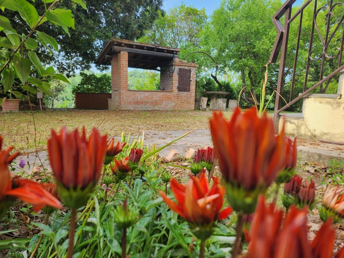 Il Giuggiolo - La Collina Della Quiete Bed & Breakfast Certaldo Luaran gambar
